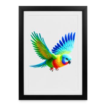 Rainbow Parakeet (03) - Framed poster (27 × 37 cm) - black - Front