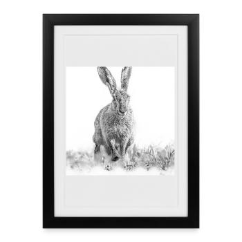 Lapin sautillant noir blanc - Affiche encadrée (27 × 37 cm) - noir - Devant