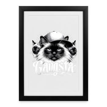 Chat Sacré de Birmanie Chat de Birmanie Trio Gangsta Gesche - Affiche encadrée (27 × 37 cm) - noir - Devant