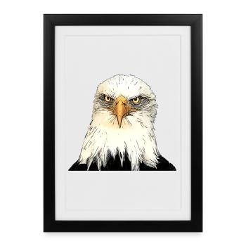 Eagle head illustration with intense look - Framed poster (27 × 37 cm) - black - Front