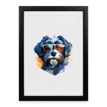 Bolonka Zwetna with sunglasses - Framed poster (27 × 37 cm) - black - Front