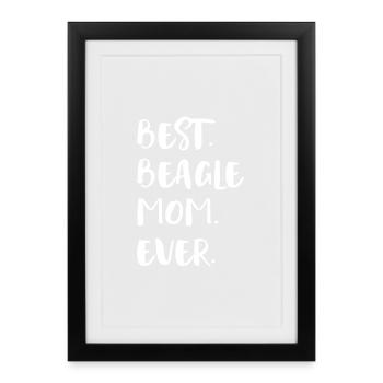 Beagle - Affiche encadrée (27 × 37 cm) - noir - Devant