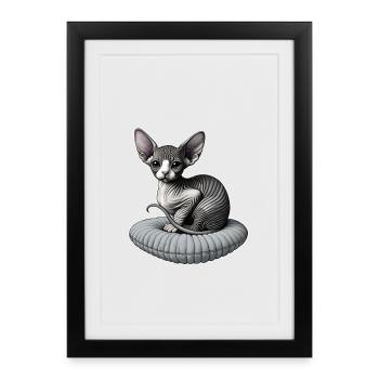 Petit chat Sphynx - Affiche encadrée (27 × 37 cm) - noir - Devant