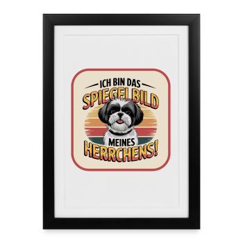 Shih Tzu : le reflet de mon maître chien - Affiche encadrée (27 × 37 cm) - noir - Devant