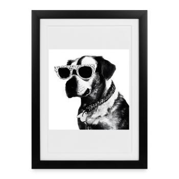 Chien noir et blanc avec des lunettes de soleil - Affiche encadrée (27 × 37 cm) - noir - Devant