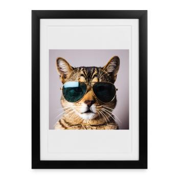 Chat avec des lunettes de soleil - Affiche encadrée (27 × 37 cm) - noir - Devant