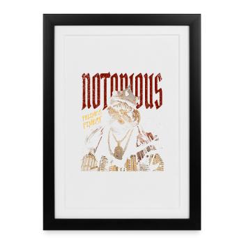 Notorious Cat – Hip-Hop Katze - Framed poster (27 × 37 cm) - black - Front