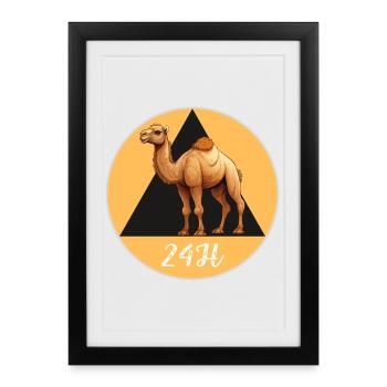 Camel 24h - Framed poster (27 × 37 cm) - black - Front