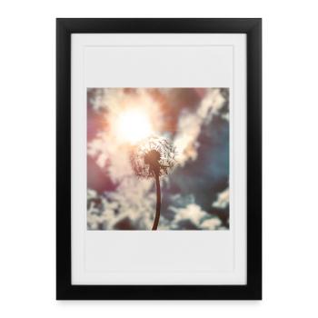 Dandelion in the Light – Dreams on the Road - Framed poster (27 × 37 cm) - black - Front