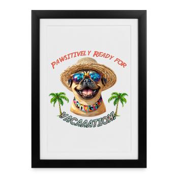 Carlin au look estival : Pawsitively Ready - Affiche encadrée (27 × 37 cm) - noir - Devant