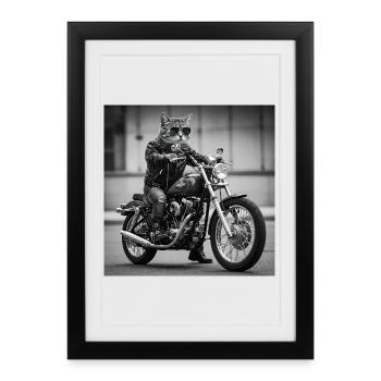 Chat Motard Rock : Design Cool et Original - Affiche encadrée (27 × 37 cm) - noir - Devant