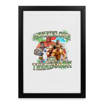 Monatslohn für Trenbolon – Prioritäten gesetzt - Gerahmtes Poster (27 × 37 cm) - Schwarz - Vorne