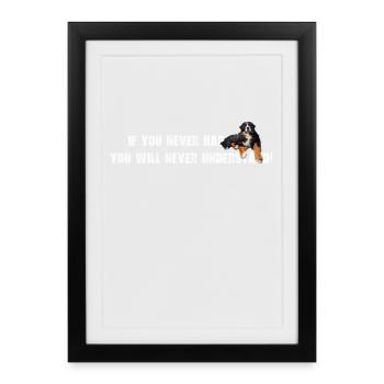 Berner Sennenhund - Gerahmtes Poster (27 × 37 cm) - Schwarz - Vorne