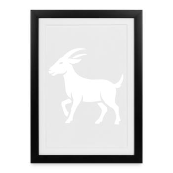 Bouc - Affiche encadrée (27 × 37 cm) - noir - Devant