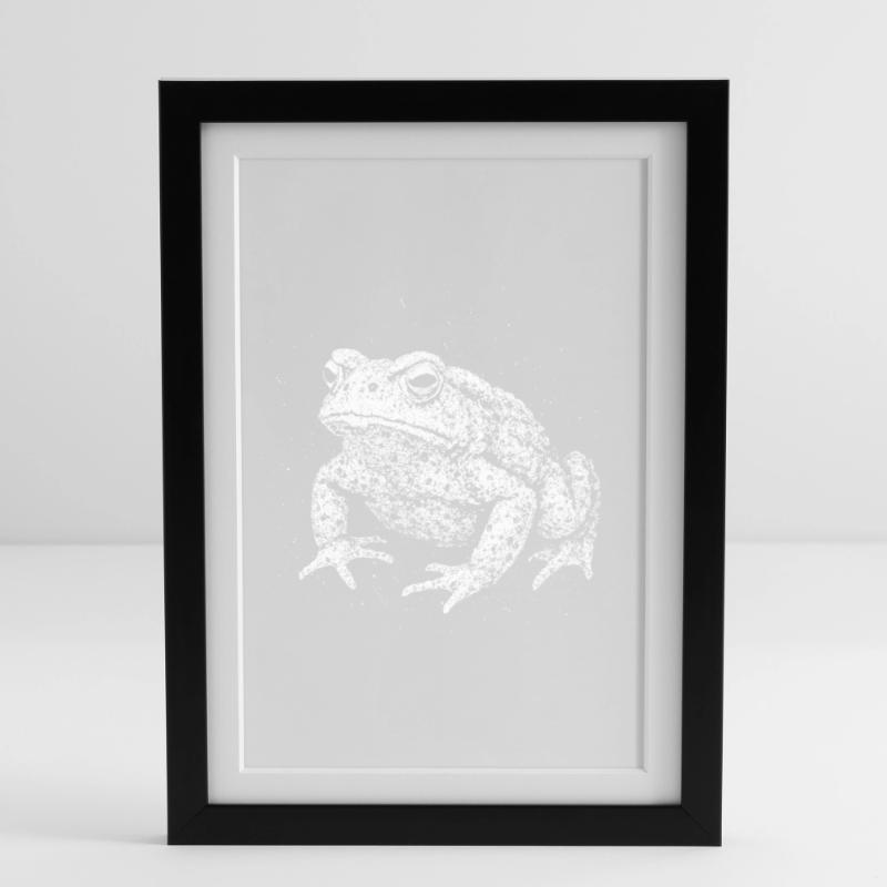 Toad Framed poster (27 × 37 cm)