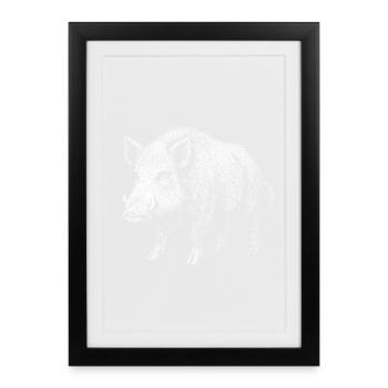 Sanglier - Affiche encadrée (27 × 37 cm) - noir - Devant