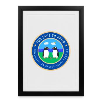 Penguins propose with pebbles - Framed poster (27 × 37 cm) - black - Front
