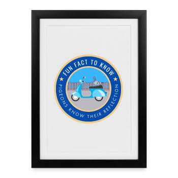 Pigeons know their reflection - Framed poster (27 × 37 cm) - black - Front