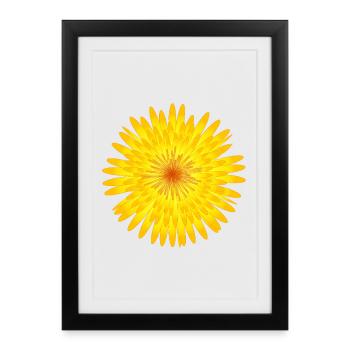 Motif d’été fleur de pissenlit jaune - Affiche encadrée (27 × 37 cm) - noir - Devant
