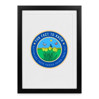 Butterflies taste things using their feet - Framed poster (27 × 37 cm) - black - Front