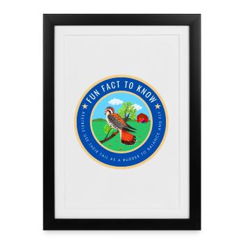 Kestrel fact - Framed poster (27 × 37 cm) - black - Front