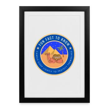Desert Camel Fact - Framed poster (27 × 37 cm) - black - Front