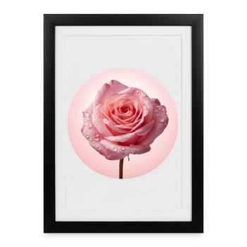Roses roses délicates avec rosée - Affiche encadrée (27 × 37 cm) - noir - Devant