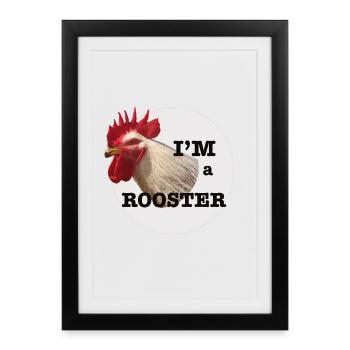 Bunter Hahn Lustiger Stil - Gerahmtes Poster (27 × 37 cm) - Schwarz - Vorne