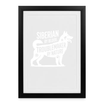 Husky By Blood Troublemaker By Nature  - Framed poster (27 × 37 cm) - black - Front