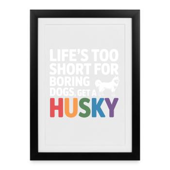 Chemise Husky drôle pour chien - Affiche encadrée (27 × 37 cm) - noir - Devant