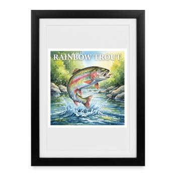 truite arc-en-ciel - Affiche encadrée (27 × 37 cm) - noir - Devant