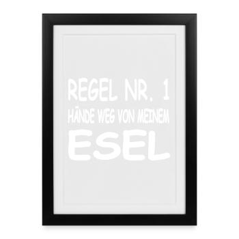 âne - Affiche encadrée (27 × 37 cm) - noir - Devant