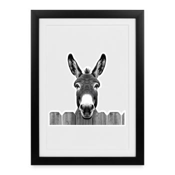Âne curieux – regardant par-dessus la clôture - Affiche encadrée (27 × 37 cm) - noir - Devant