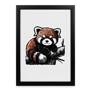 Mignon panda roux (fusain/crayon) - Affiche encadrée (27 × 37 cm) - noir - Devant
