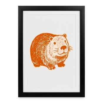 Capybara - Mignons capybaras - Affiche encadrée (27 × 37 cm) - noir - Devant