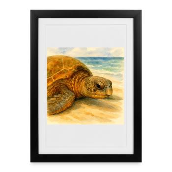 Watercolor turtle by beach - Framed poster (27 × 37 cm) - black - Front