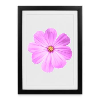 fleur - Affiche encadrée (27 × 37 cm) - noir - Devant