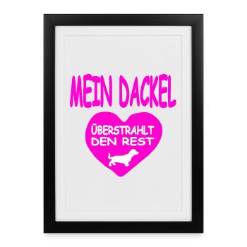 Teckel - Affiche encadrée (27 × 37 cm) - noir - Devant