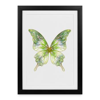 Papillon vert aquarelle - Affiche encadrée (27 × 37 cm) - noir - Devant