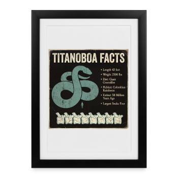 Faits sur Titanoboa : Plus grand serpent de la préhistoire - Affiche encadrée (27 × 37 cm) - noir - Devant