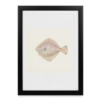Flunder Fisch Aquarell – Maritime Illustration - Gerahmtes Poster (27 × 37 cm) - Schwarz - Vorne