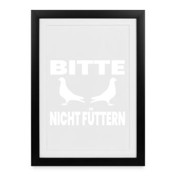 Colombes - Affiche encadrée (27 × 37 cm) - noir - Devant