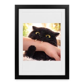Morsure de chat espiègle – Drôle de « baisers avec Z » - Affiche encadrée (27 × 37 cm) - noir - Devant