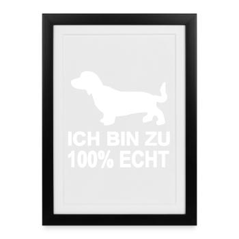 Teckel - Affiche encadrée (27 × 37 cm) - noir - Devant