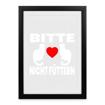 feline - Framed poster (27 × 37 cm) - black - Front