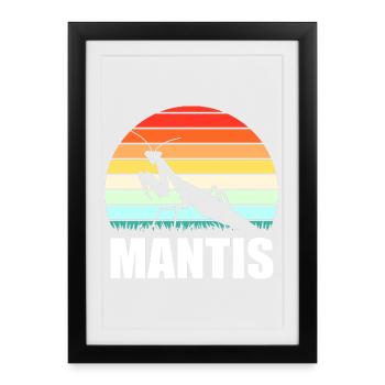 Adoratrice de la Mante Mante Mantis - Affiche encadrée (27 × 37 cm) - noir - Devant
