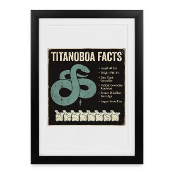 Titanoboa Facts : le plus gros serpent jamais vu - Affiche encadrée (27 × 37 cm) - noir - Devant