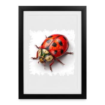 Red Ladybug Pattern Shirt - Framed poster (27 × 37 cm) - black - Front