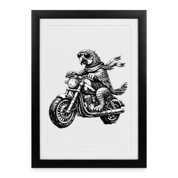 Biker Ara | Parrot on Motorcycle - Framed poster (27 × 37 cm) - black - Front