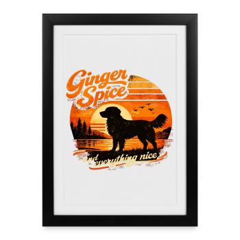 Great Retro 70s: Ginger Spice & Everything Nice - Framed poster (27 × 37 cm) - black - Front